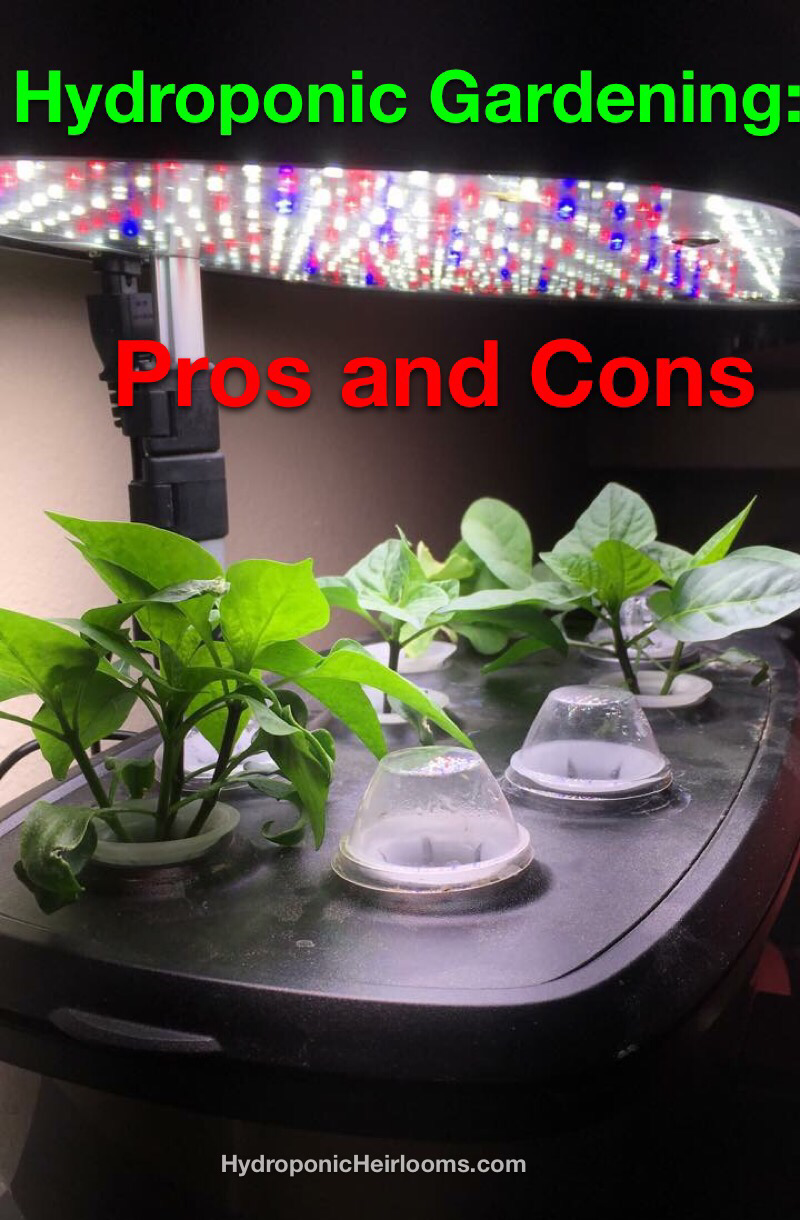 Hydroponics Pros and Cons 2018